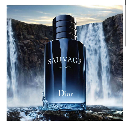 sauvage dior parfum